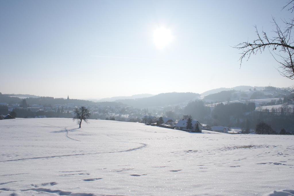 Gasthof 'Zum Alten Turm' Haslach an der Muhl Bagian luar foto