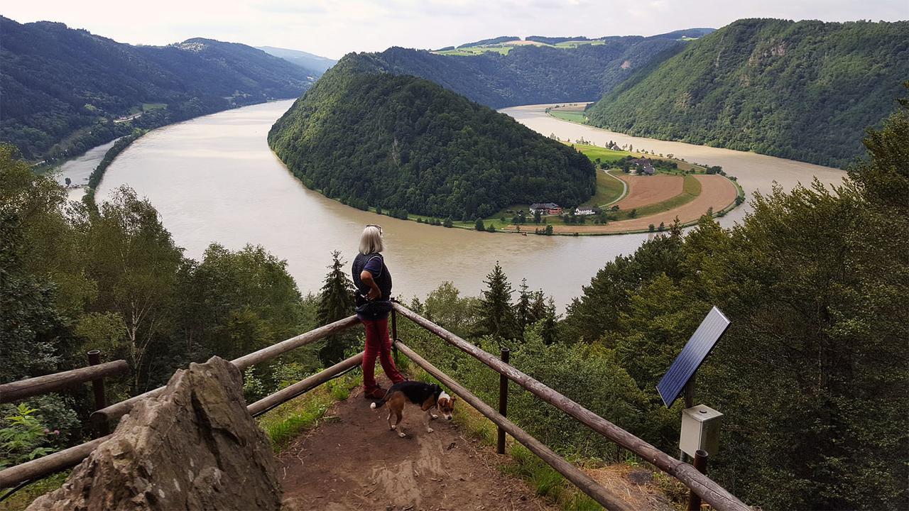 Gasthof 'Zum Alten Turm' Haslach an der Muhl Bagian luar foto